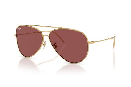 RAY-BAN RB R0101S 001/69