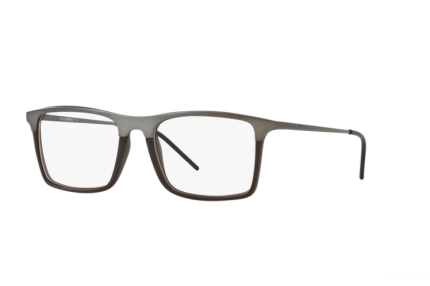 EMPORIO ARMANI EA 1058 3169