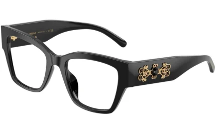 DOLCE & GABBANA DG 3435-B 501